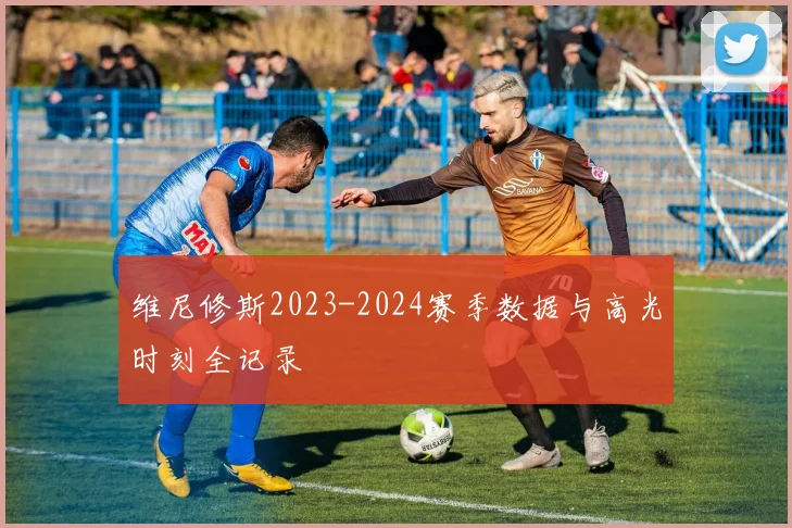 维尼修斯2023-2024赛季数据与高光时刻全记录