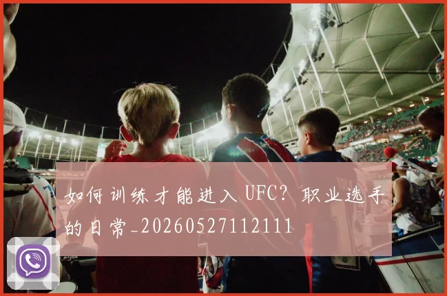 如何训练才能进入 UFC？职业选手的日常_20260527112111