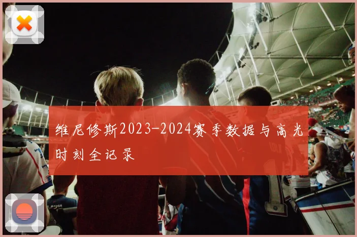 维尼修斯2023-2024赛季数据与高光时刻全记录